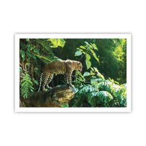 Poster - Op jacht? - 91x61 cm