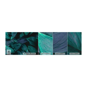 Fotobehang Monster Premium Canvas - Groen op zichzelf - Bladeren, Natuur, Plantkunde - 100x30 cm