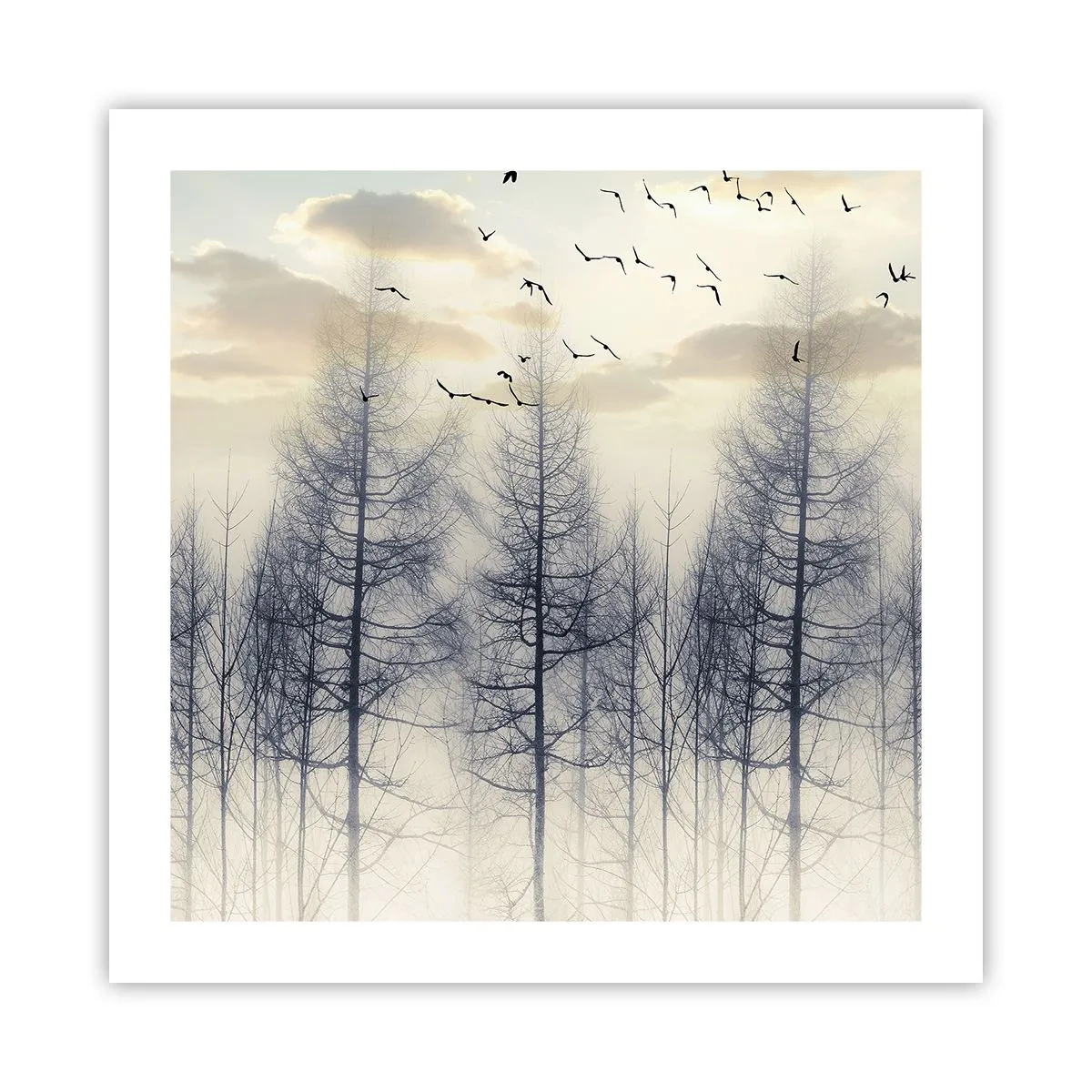 Poster - Bosgeesten - 50x50 cm