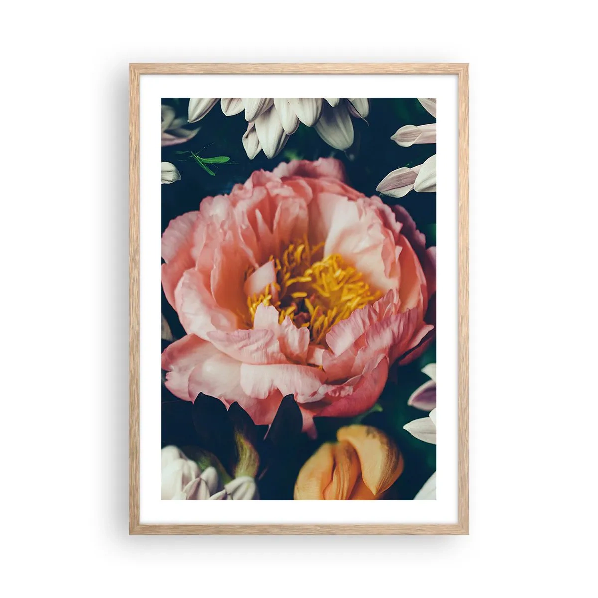 Een poster in een licht eiken lijst - Met barokke pracht - 50x70 cm