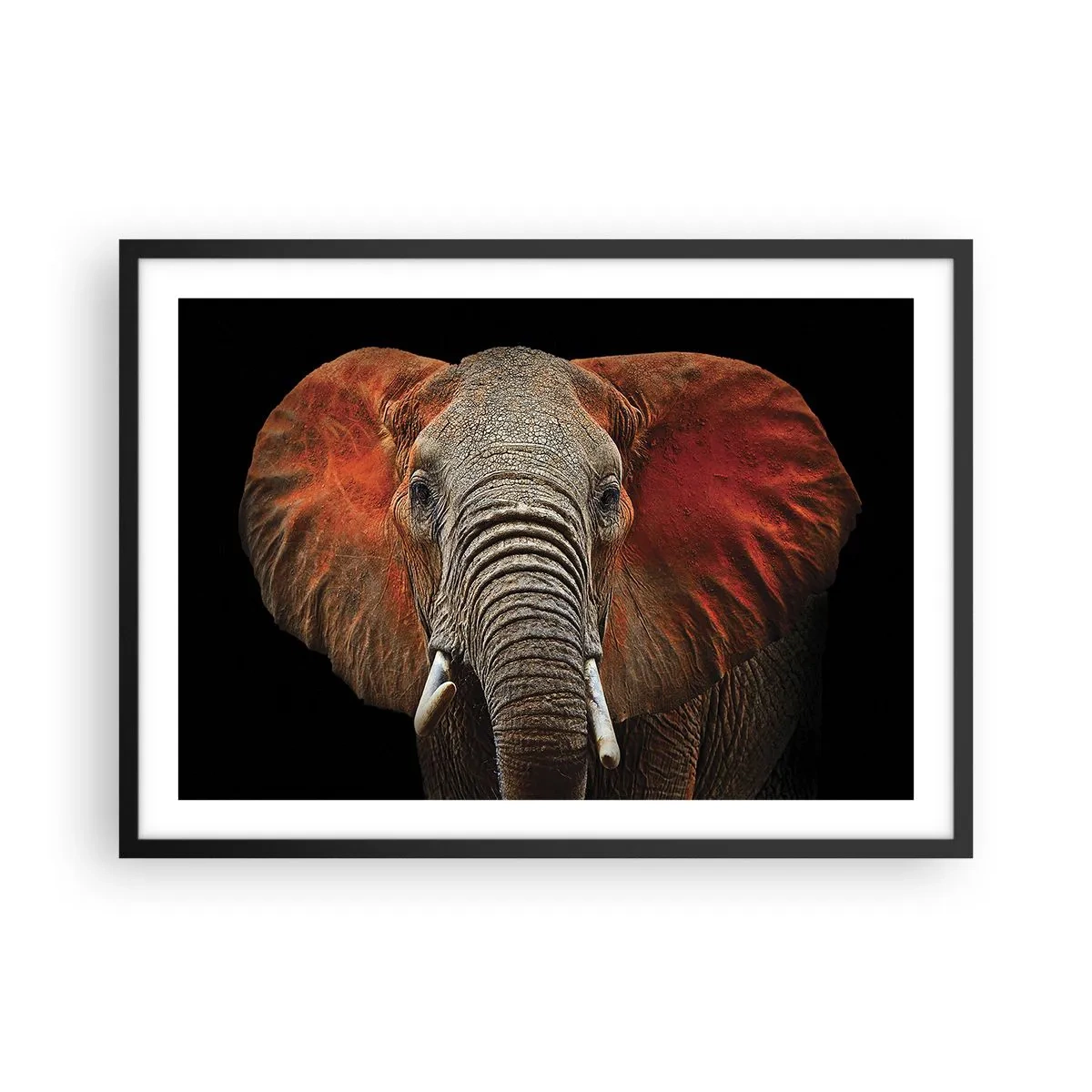 Poster in een zwarte lijst - Ik ben wild, en jij? - 70x50 cm