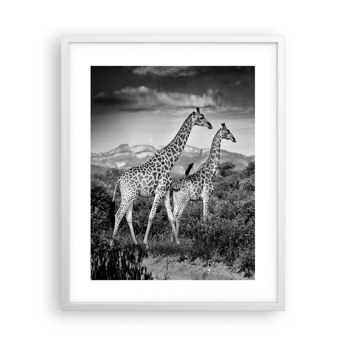 Poster in een witte lijst - Hoge sferen in Afrika - 40x50 cm