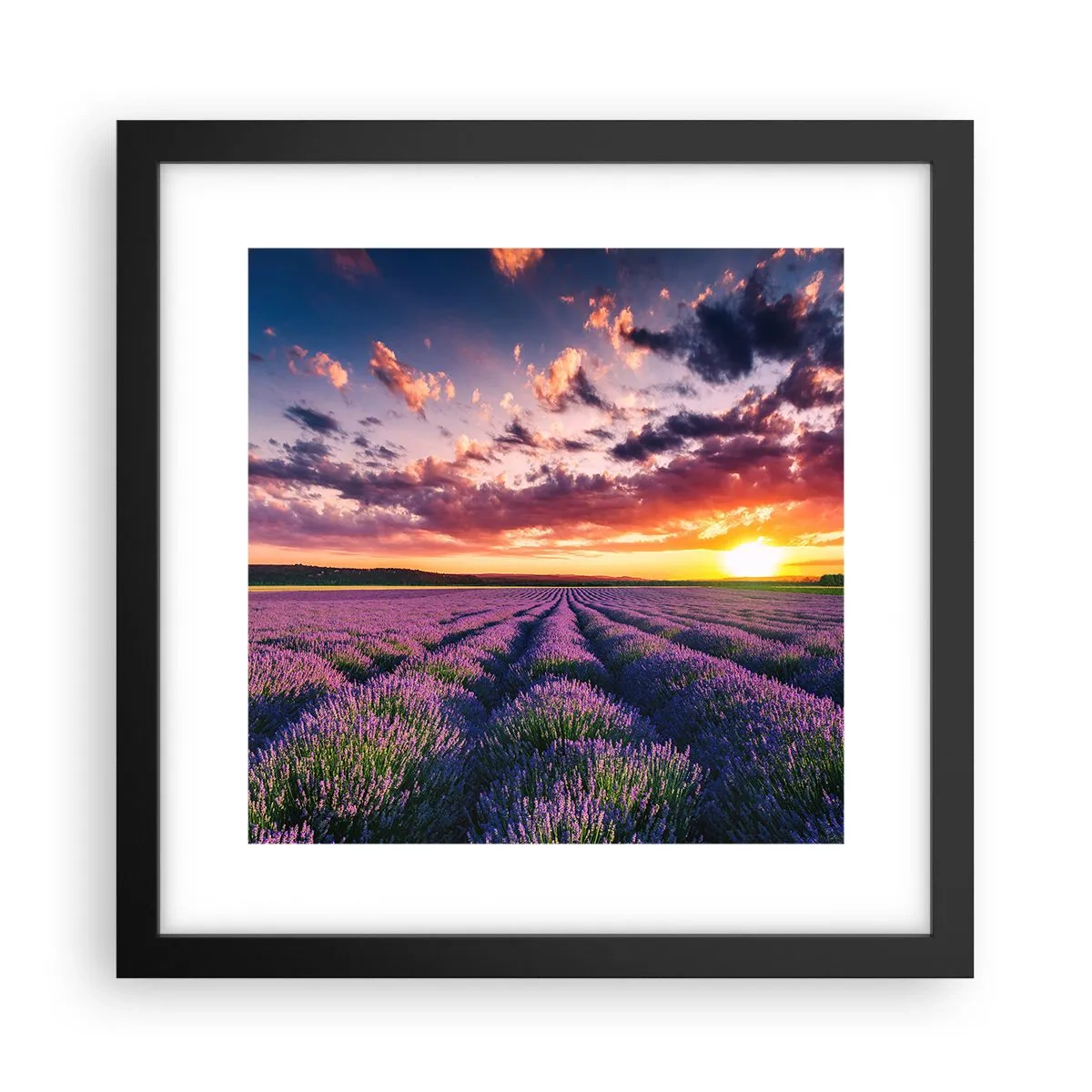 Poster in een zwarte lijst - Lavendel wereld - 30x30 cm