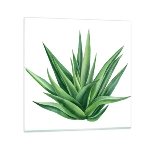 Schilderen op glas - Groen – kracht – leven - 70x70 cm