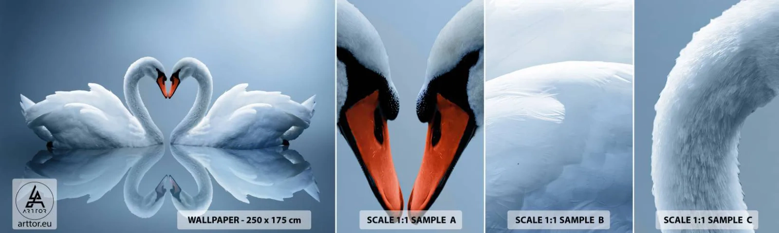 Fotobehang Staaltje Standard Eco - Tijd voor liefde - Zwanen, Liefde, Hart - 100x30 cm