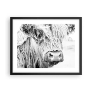 Poster in een zwarte lijst - Schotse wildheid - 50x40 cm