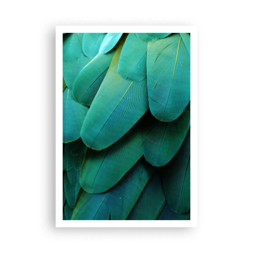 Poster - Papegaaiachtige precisie - 70x100 cm