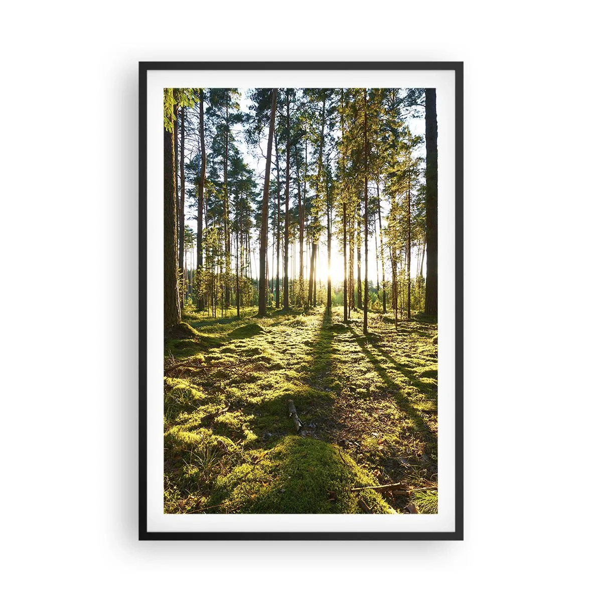 Poster in een zwarte lijst - … Achter de zeven bossen - 61x91 cm