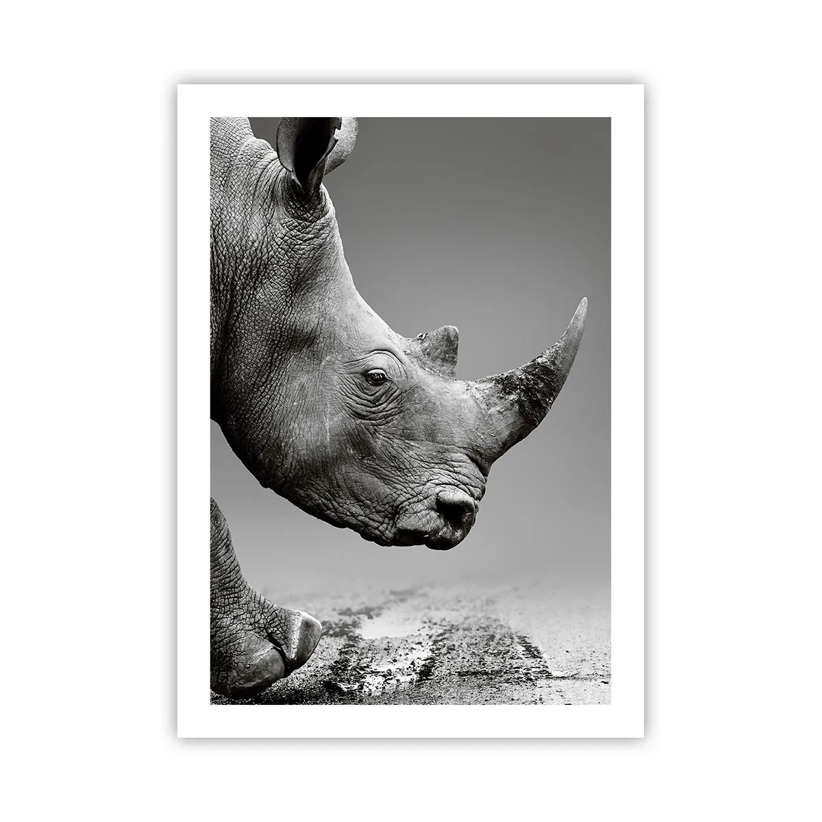 Poster - Onstuitbare kracht - 50x70 cm