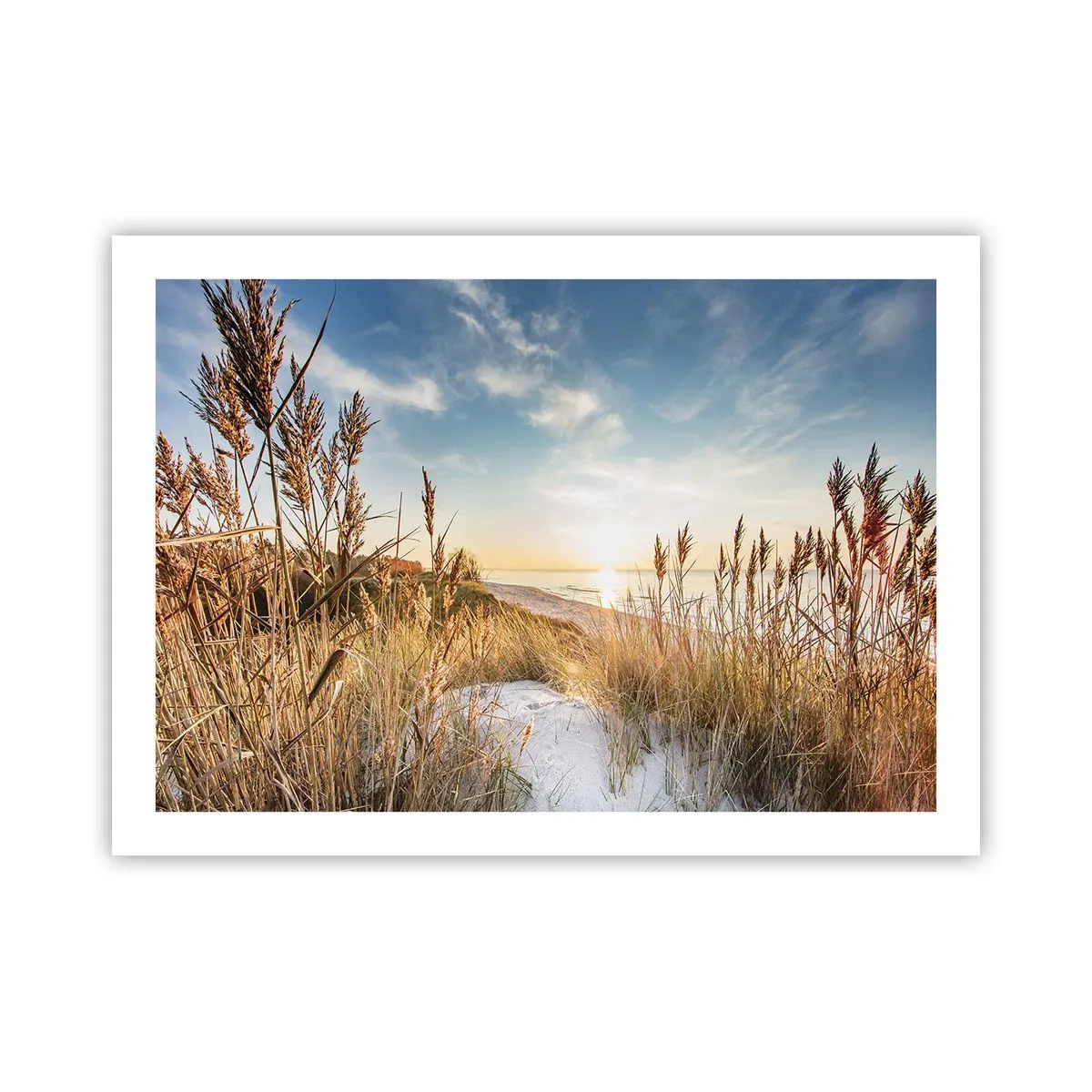 Poster - Noord strand - 70x50 cm