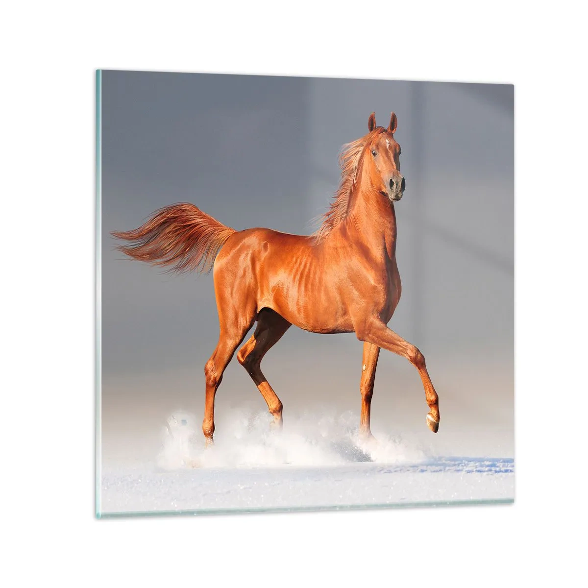 Schilderen op glas - Dansende elegantie - 70x70 cm