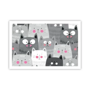 Poster - De wereld van de kat - 91x61 cm