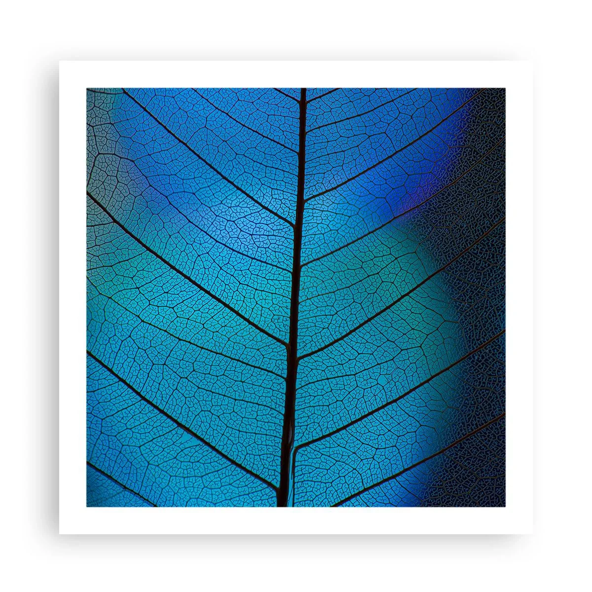 Poster - Ingewikkelde constructie - 60x60 cm