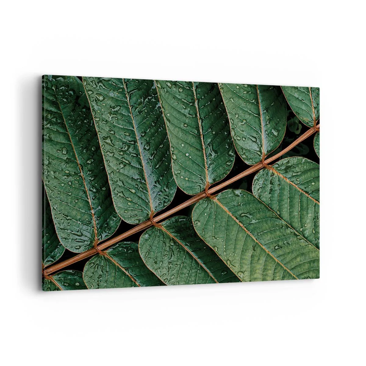 Schilderen op canvas - In een groen ritme - 100x70 cm