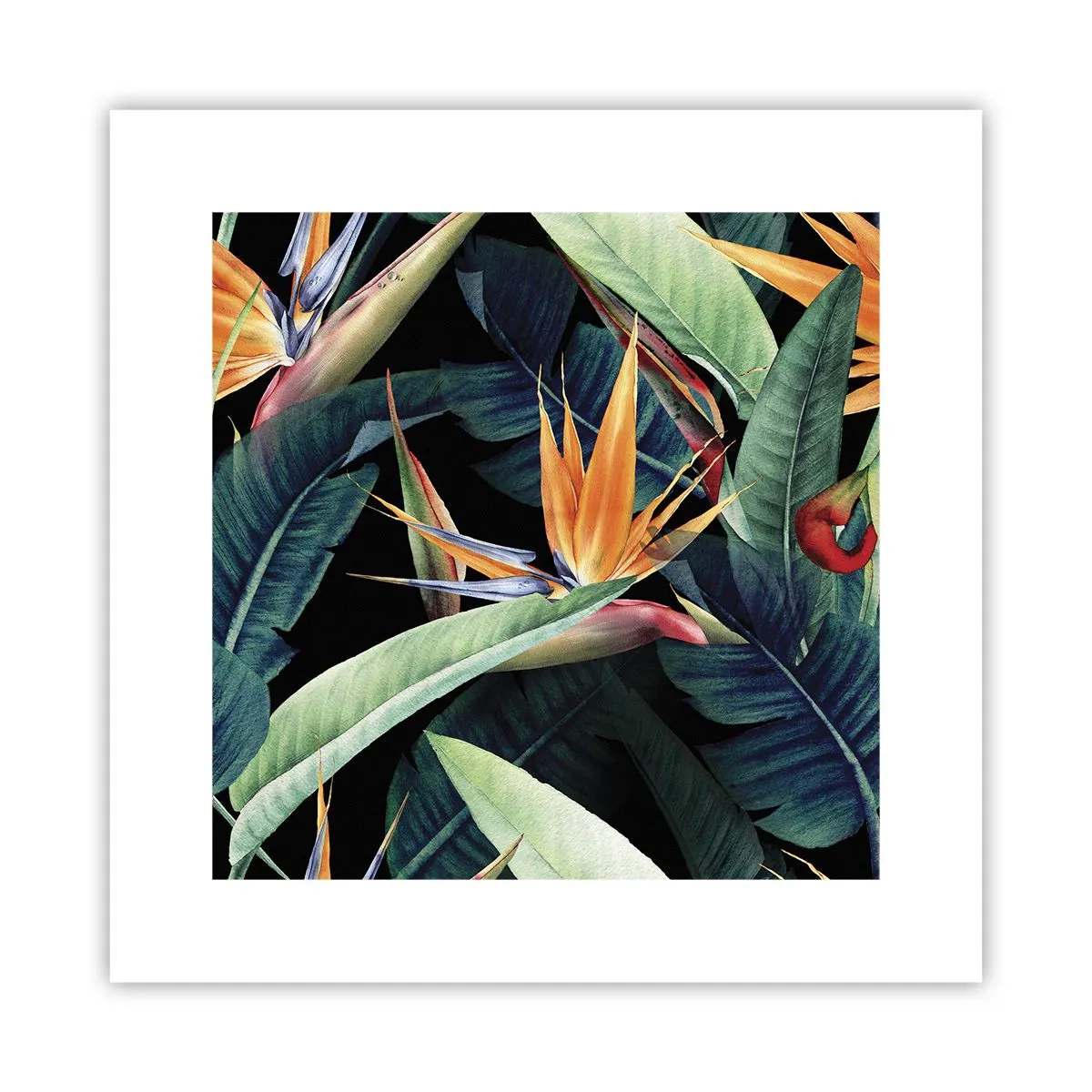 Poster - Vlammende bloemen van de tropen - 30x30 cm