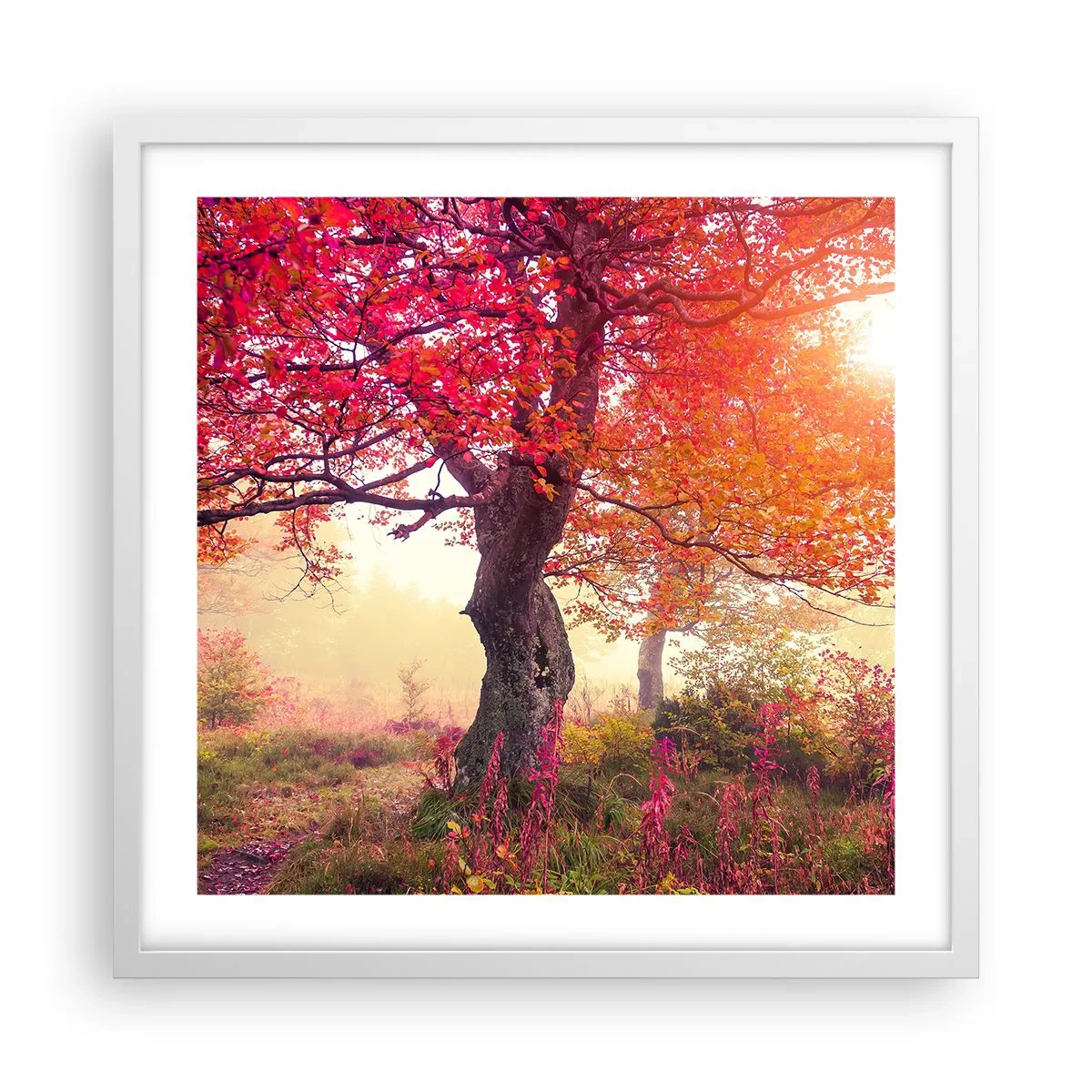 Poster in een witte lijst - Bloeiende razernij - 50x50 cm