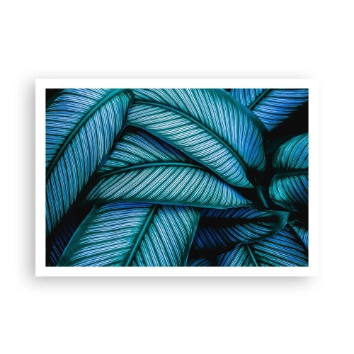 Poster - Levens lijnen - 100x70 cm