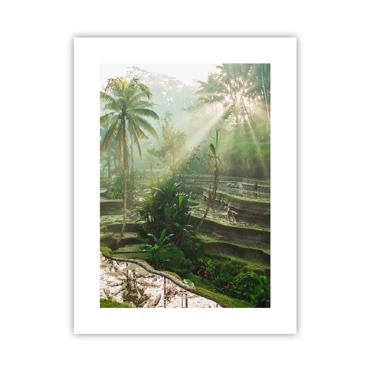 Poster - Opgroeien in de zon - 30x40 cm