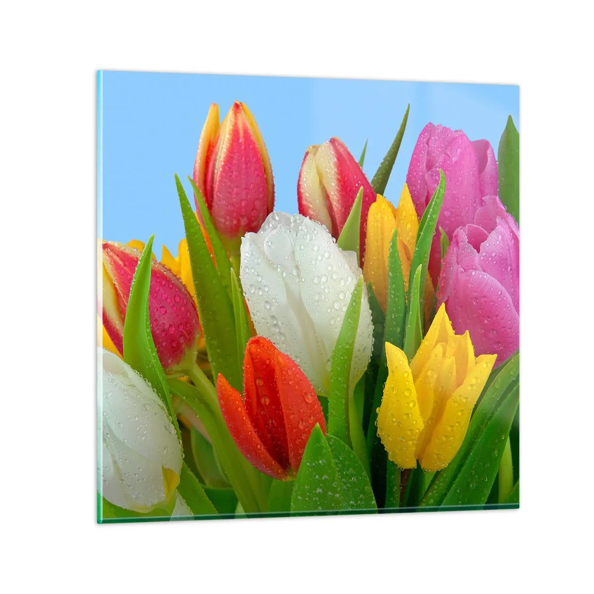 Schilderen op glas - Een bloemenregenboog in dauwdruppels - 30x30 cm