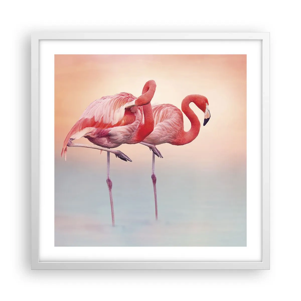 Poster in een witte lijst - De kleur van de ondergaande zon - 50x50 cm