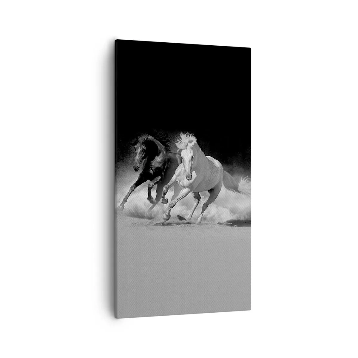 Schilderen op canvas - Vrijheidsgalop - 55x100 cm