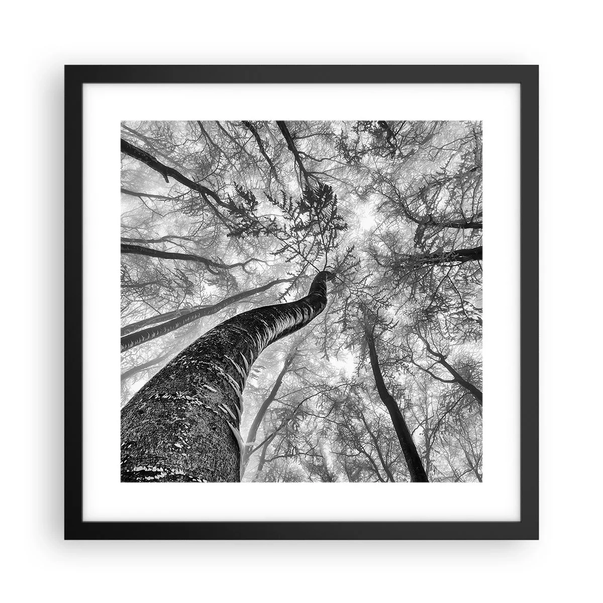 Poster in een zwarte lijst - Race naar het licht - 40x40 cm