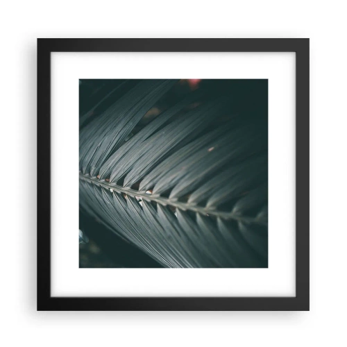 Poster in een zwarte lijst - De precisie van de natuur - 30x30 cm
