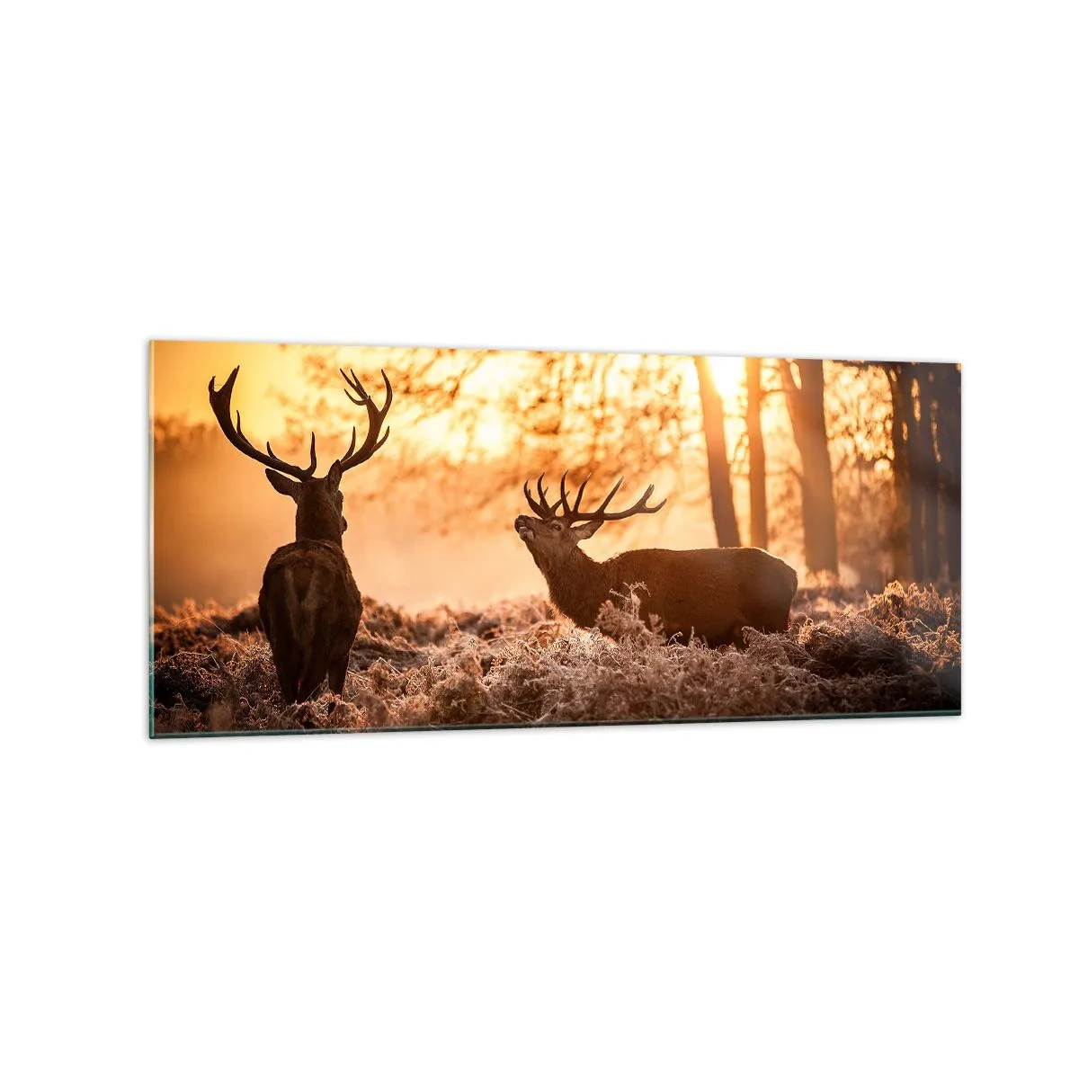 Schilderen op glas - De droom van een jager - 120x50 cm