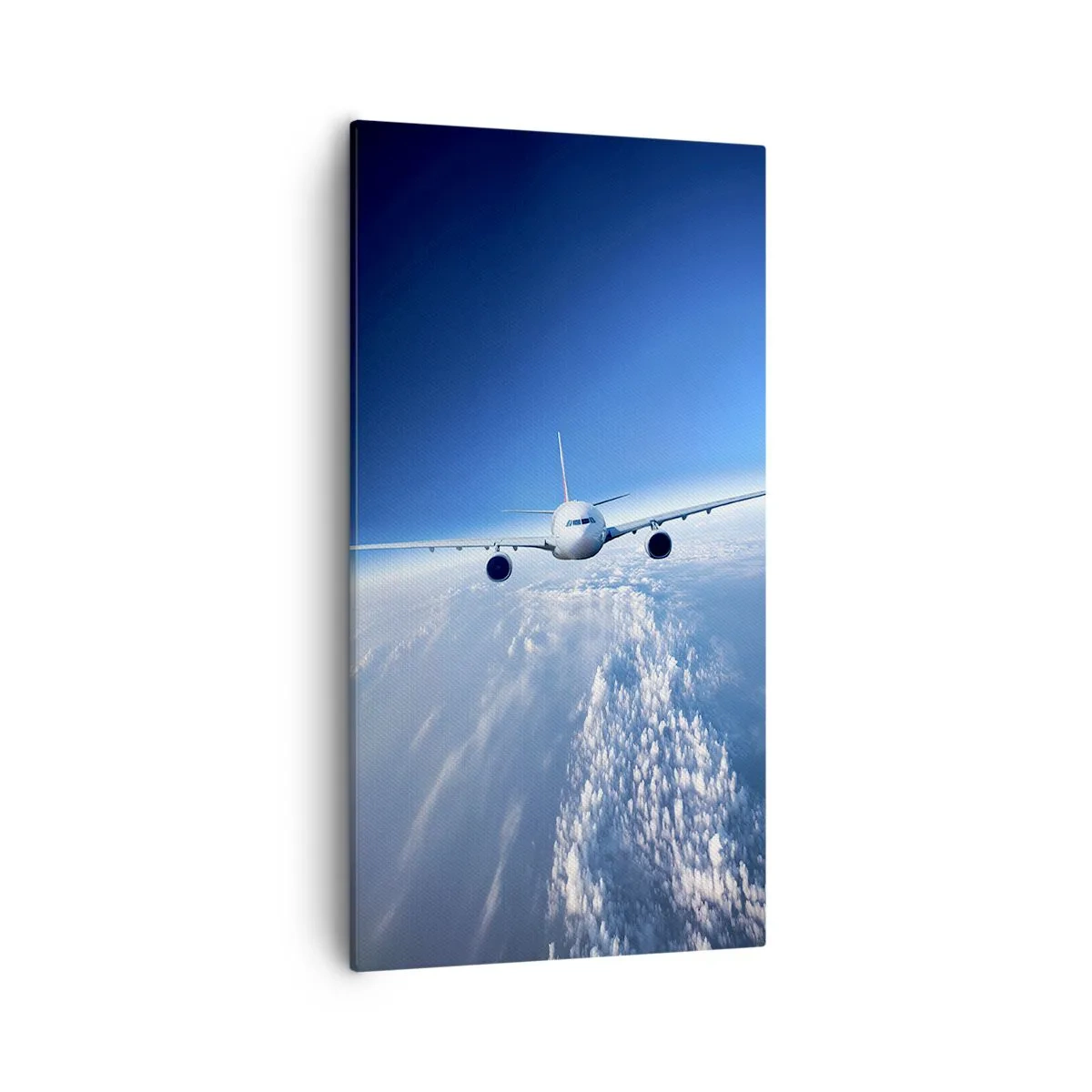 Schilderen op canvas - Ik vlieg omdat ik dat wil - 55x100 cm