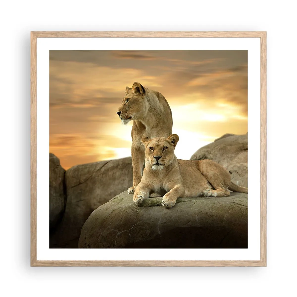 Een poster in een licht eiken lijst - Koninklijke majesteit - 60x60 cm