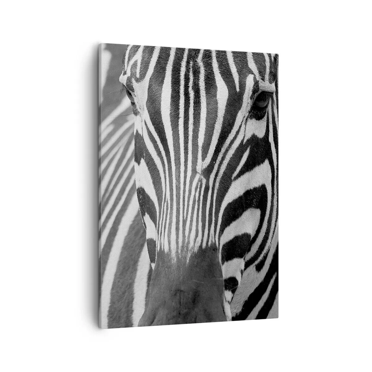 Schilderen op canvas - De wereld is zwart-wit - 50x70 cm