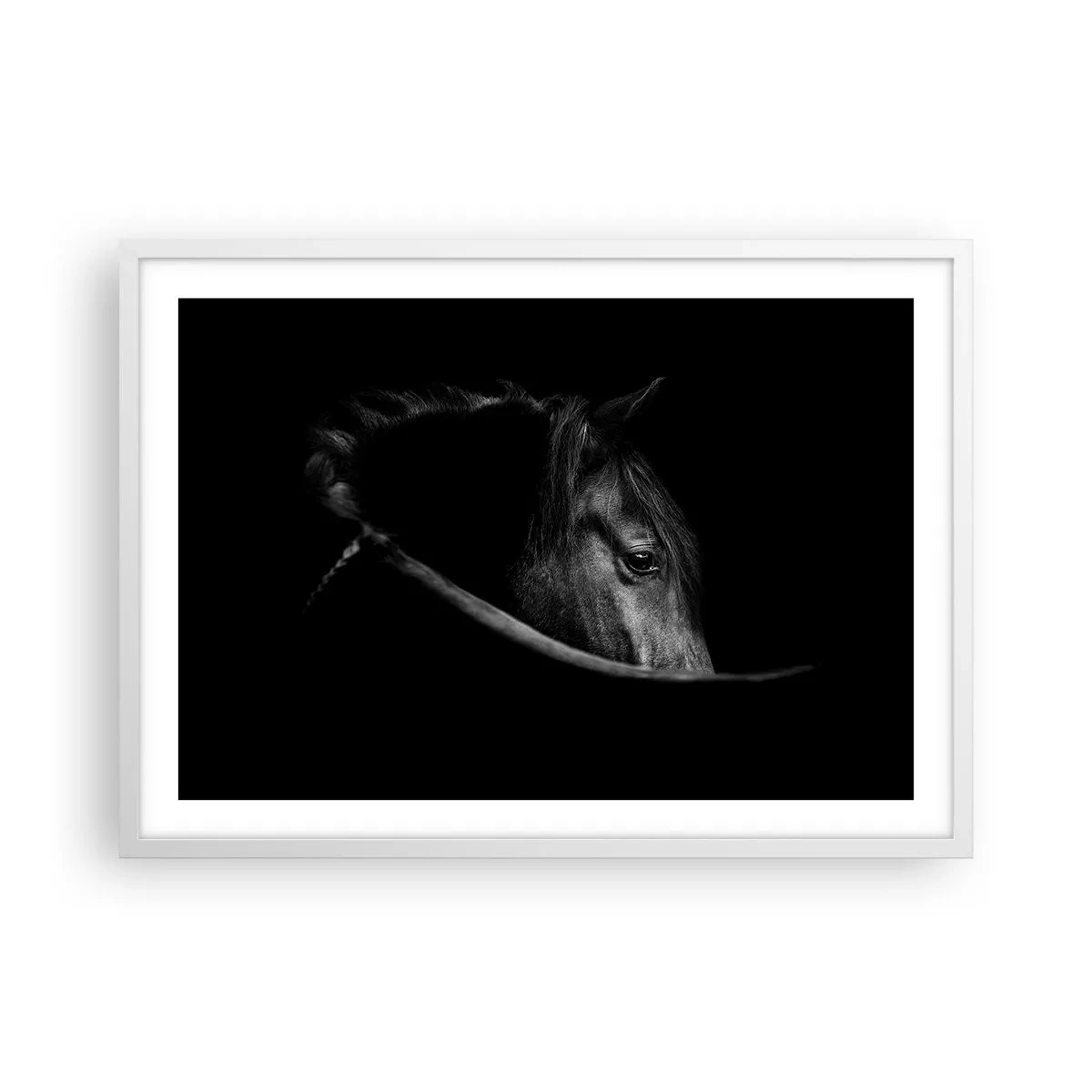 Poster in een witte lijst - Zwarte Prins - 70x50 cm