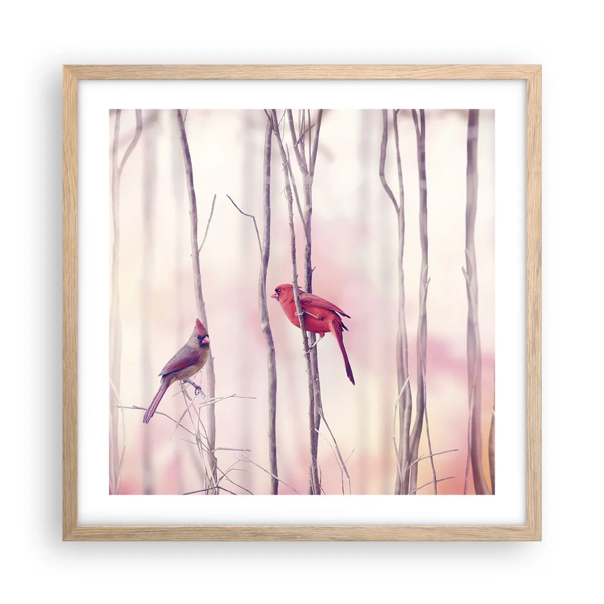 Een poster in een licht eiken lijst - Verhaal van het roze woud - 50x50 cm