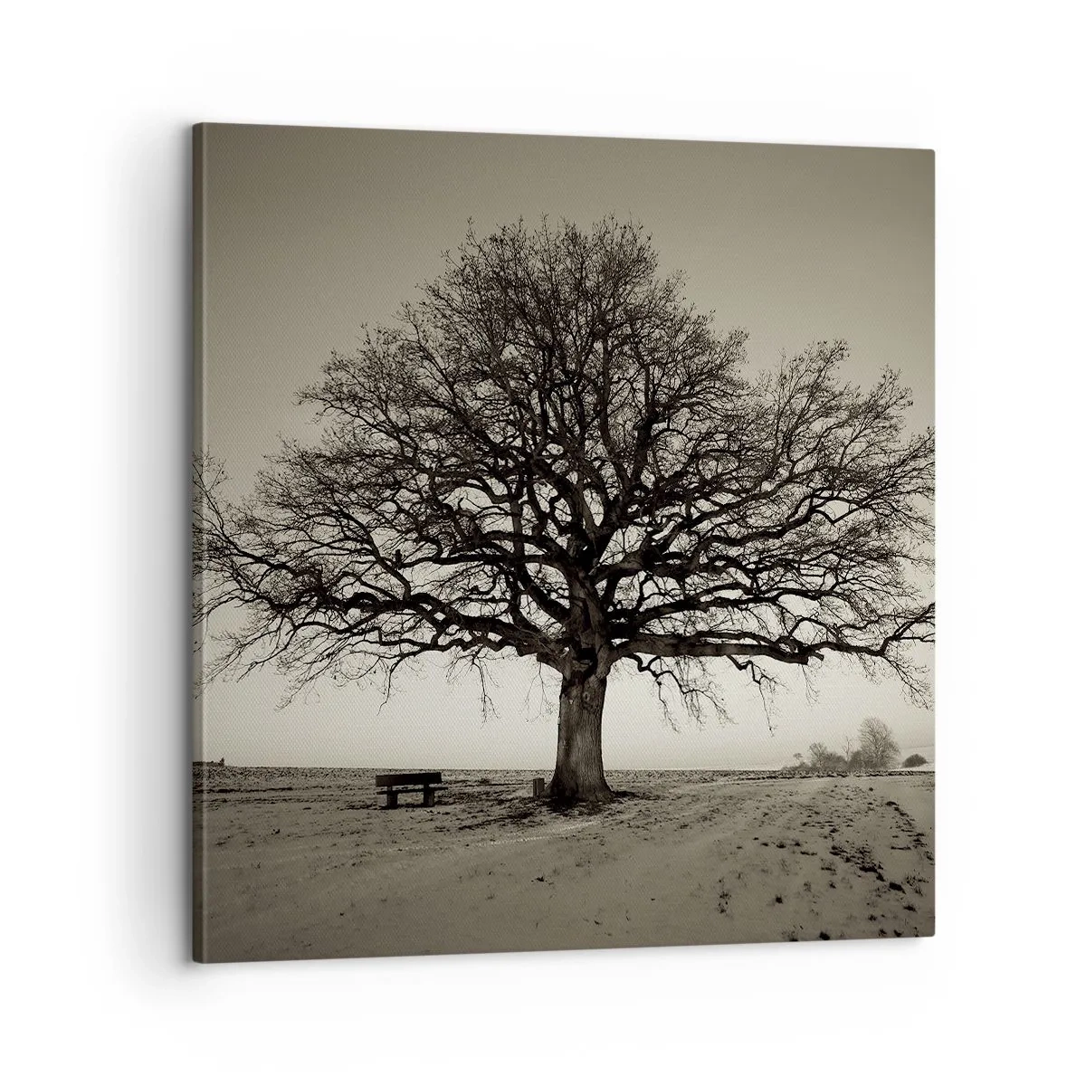 Schilderen op canvas - Van hier tot in de eeuwigheid - 60x60 cm