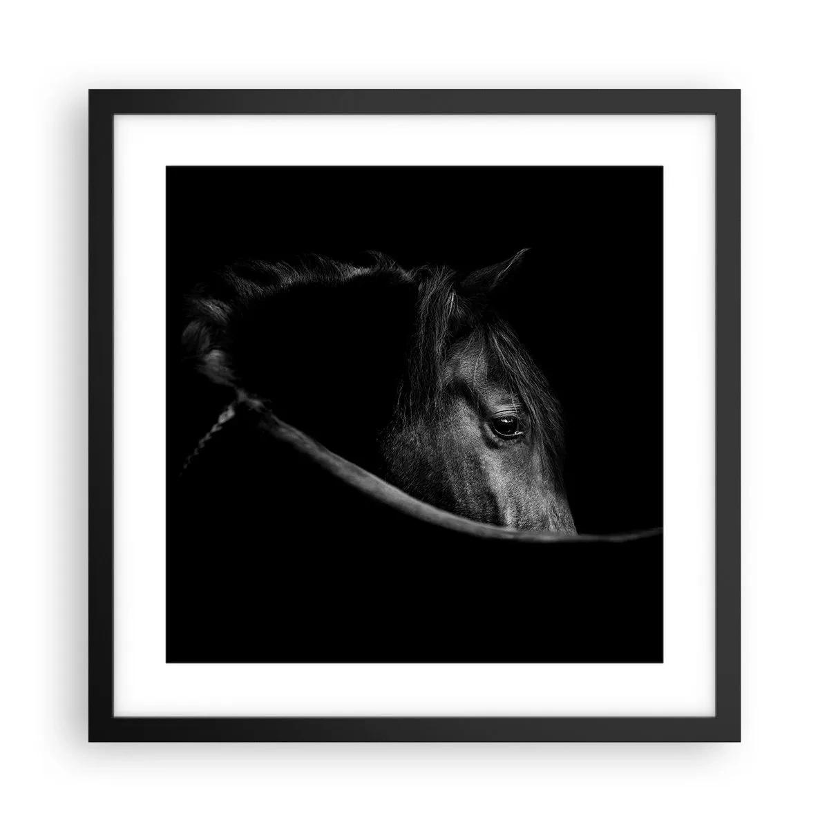 Poster in een zwarte lijst - Zwarte Prins - 40x40 cm