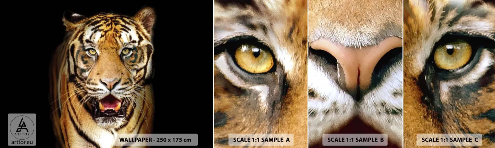 Fotobehang Staaltje Standard Eco - Wildheid in het hart - Dieren, Tijger, Roofdier - 100x30 cm