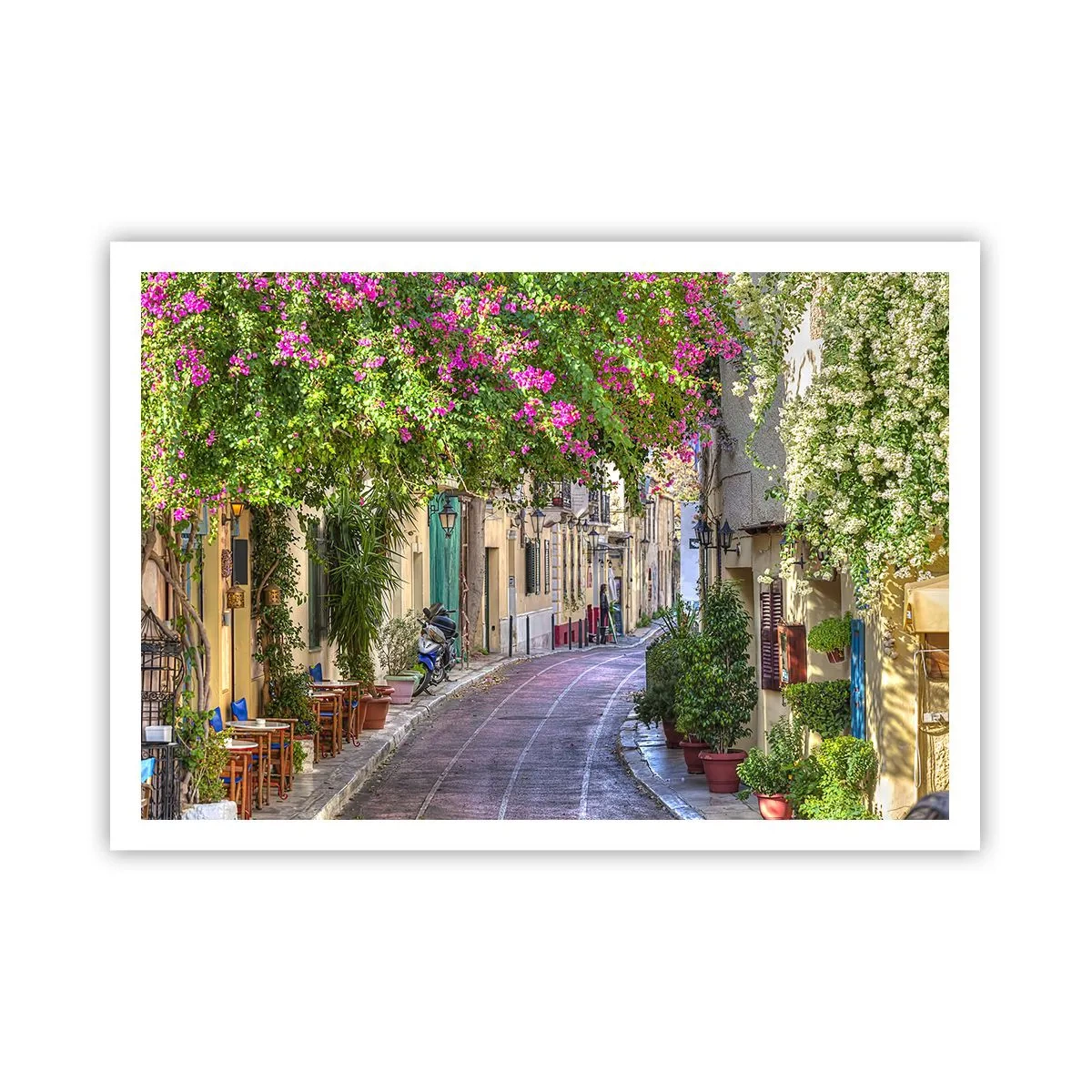 Poster - Bloeiende steeg - 100x70 cm