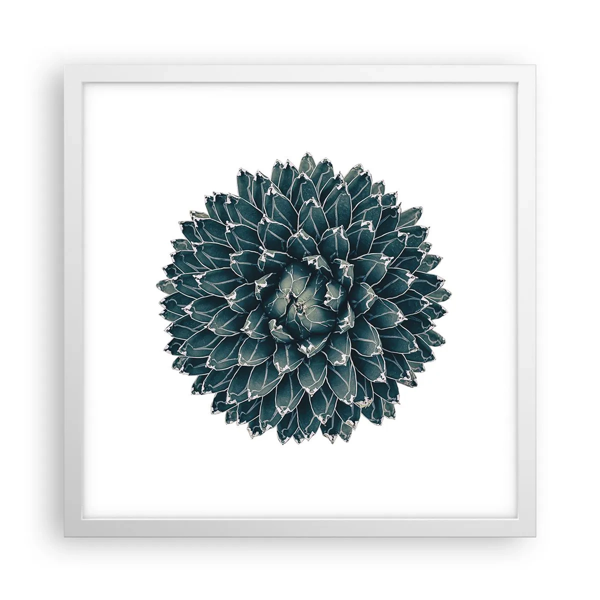 Poster in een witte lijst - De ster van de woestijn - 40x40 cm