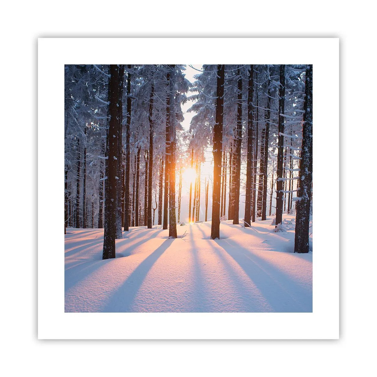 Poster - Duidelijk in zwart-wit - 40x40 cm