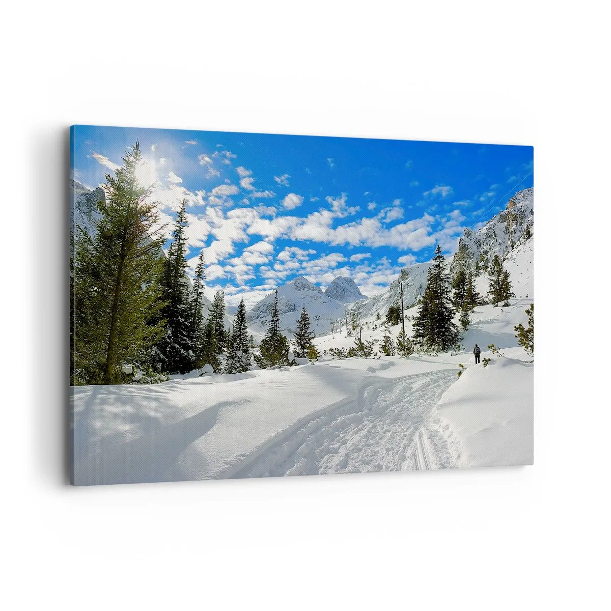 Schilderen op canvas - In de sneeuw en in de zon - 100x70 cm