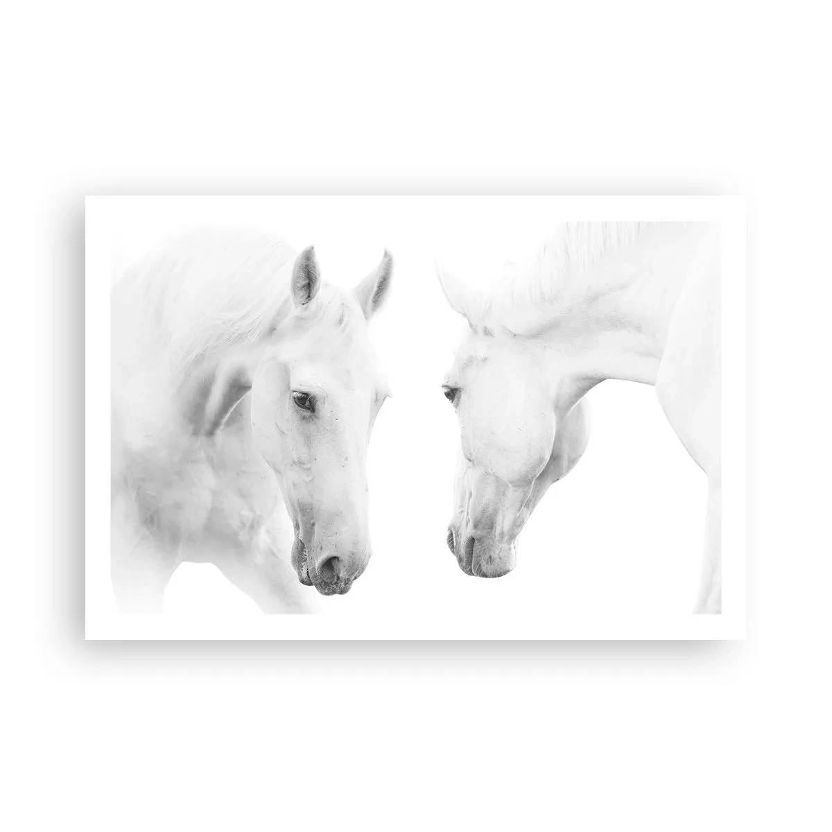 Poster - Is dit vriendschap...? - 91x61 cm