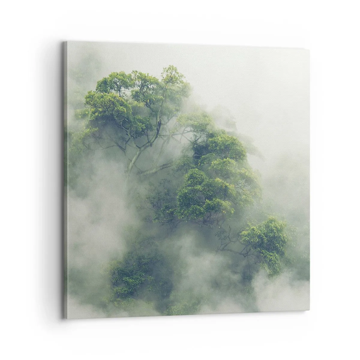 Schilderen op canvas - In mist gehuld - 60x60 cm