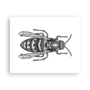Poster - Van een insectenplaneet - 50x40 cm