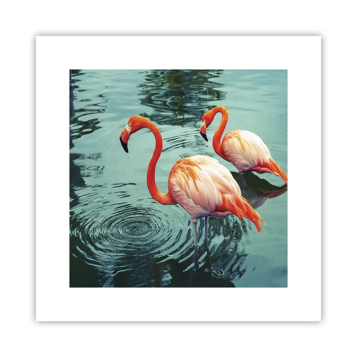 Poster - We zijn nu in de mode - 30x30 cm
