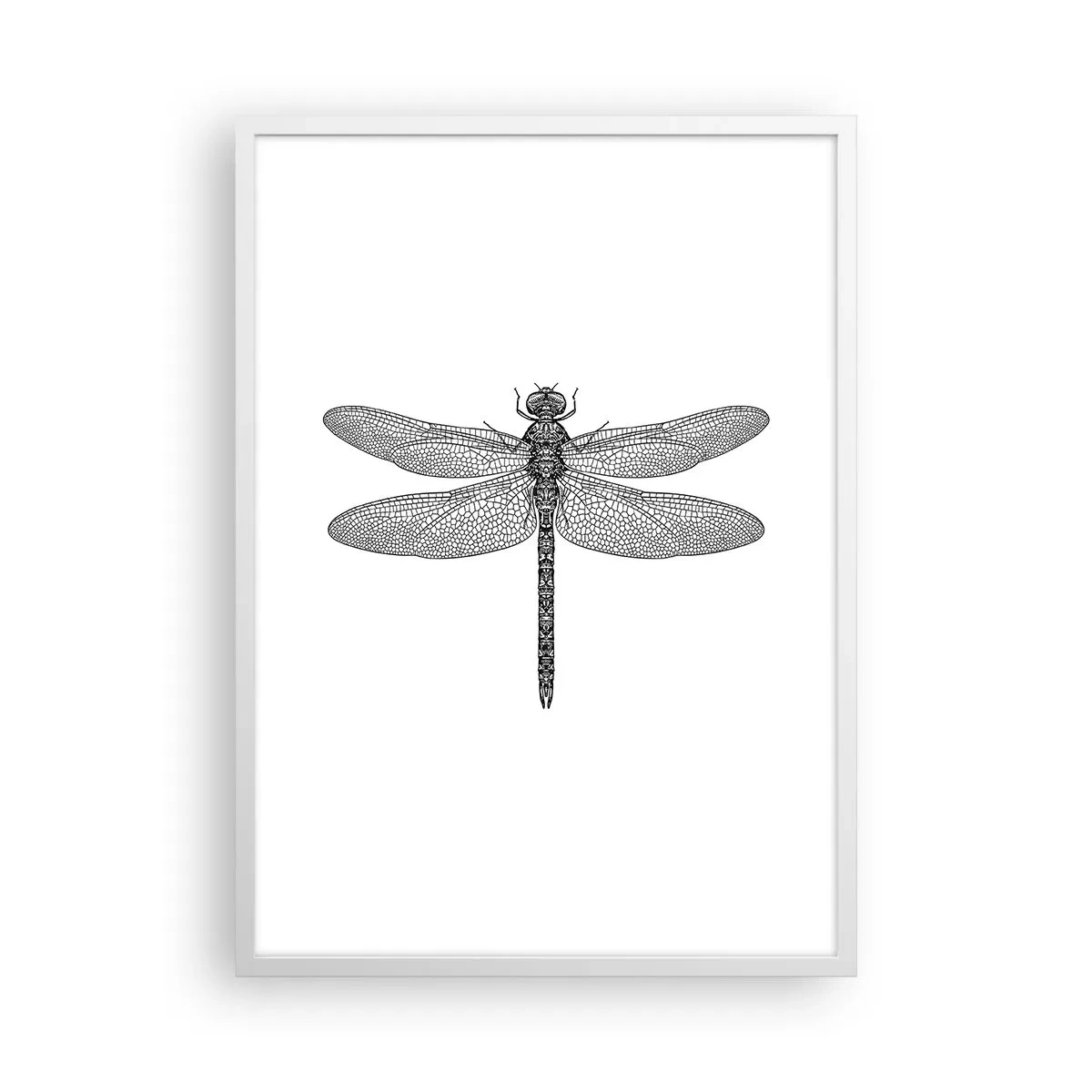 Poster in een witte lijst - Precisie van de natuur - 50x70 cm