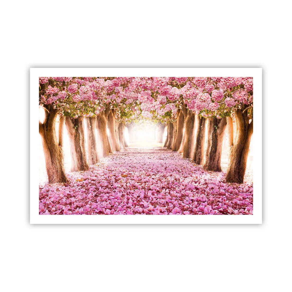 Poster - De weg naar het paradijs - 91x61 cm