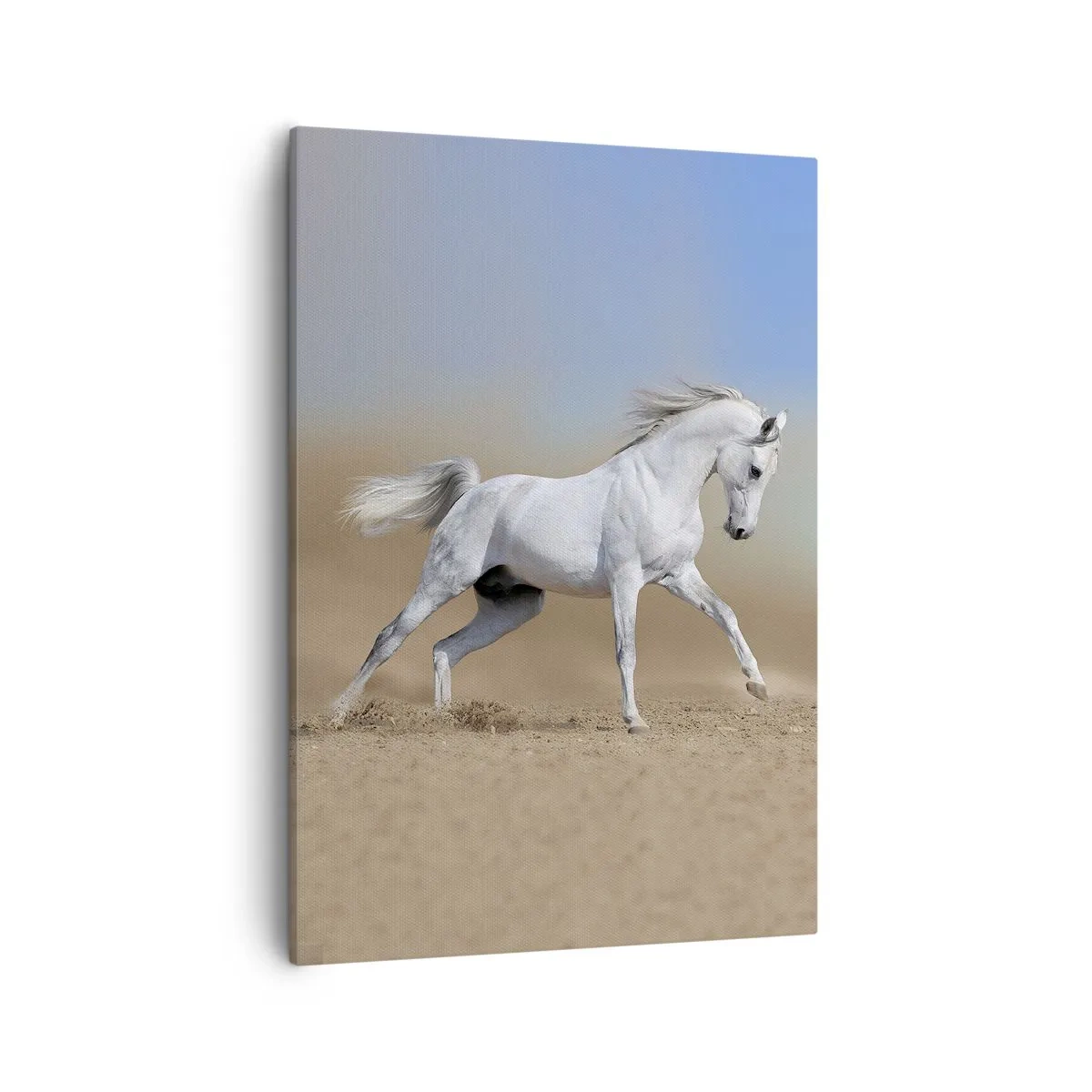 Schilderen op canvas - Het mooiste Arabische sprookje - 50x70 cm