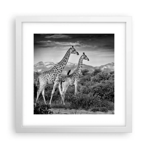Poster in een witte lijst - Hoge sferen in Afrika - 30x30 cm
