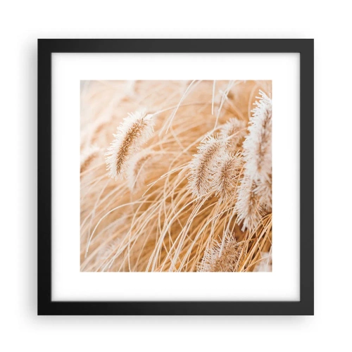 Poster in een zwarte lijst - Het gouden geritsel van het gras - 30x30 cm