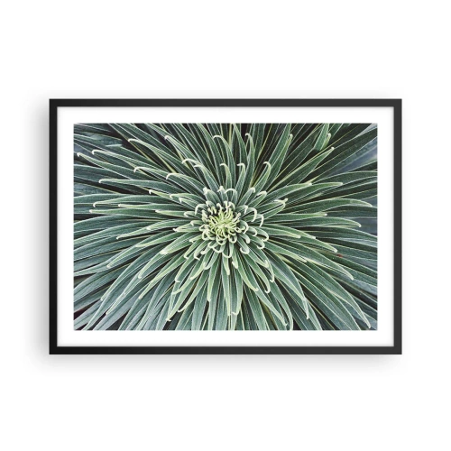 Poster in een zwarte lijst - Een ster is geboren - 70x50 cm